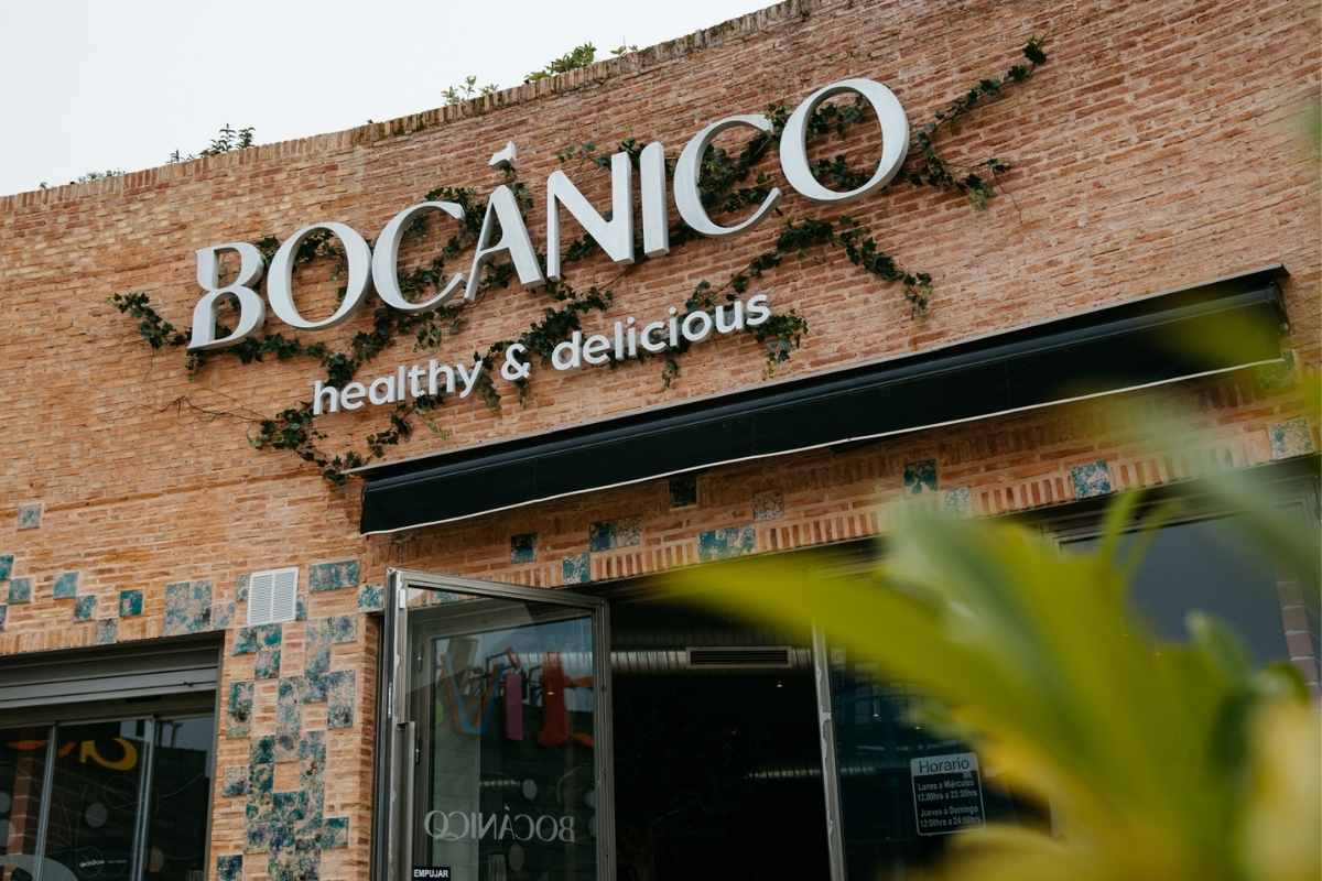 03 03 01 Bocánico