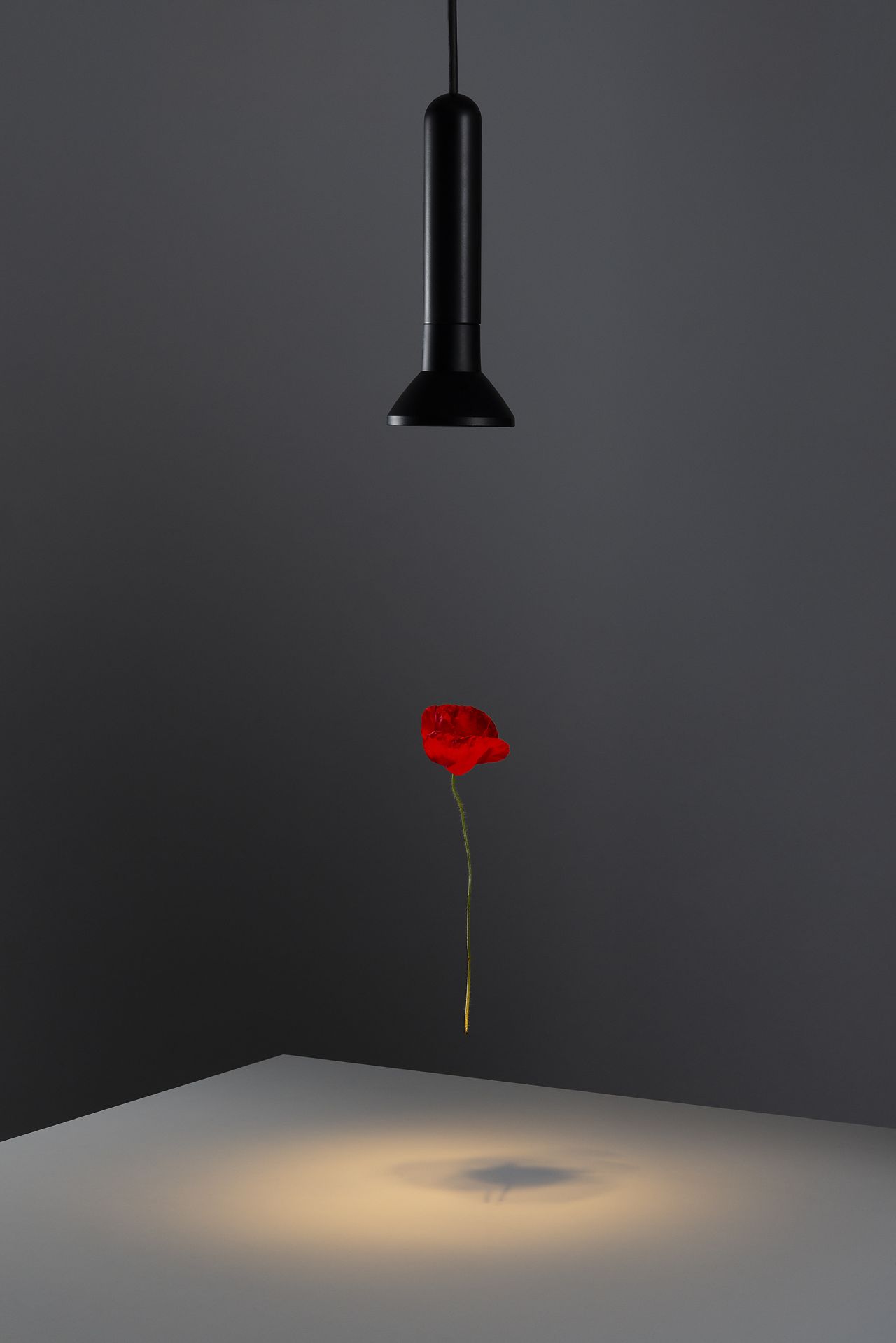 05 01 01 LineA